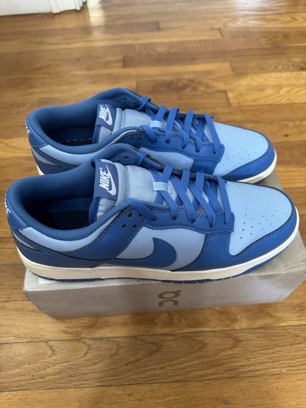 *Used* Nike Dunk Low Men Blue (HF5441-400) Size 12 *No Original Box*